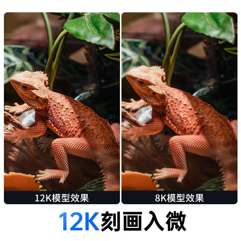 Anycub Vertical M7 Series M7Pro3D Light Curing Printer 10 Inches 14K Automatic Temperature Control Filter 170mm