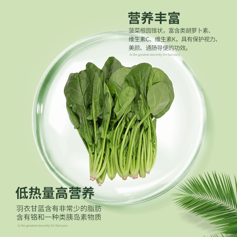 Natural Spinach Powder, Food-Grade Baking Colorant, Dehydrated Vegetable Powder, Direct Supply from the Manufacturer for Fruits and Vegetables