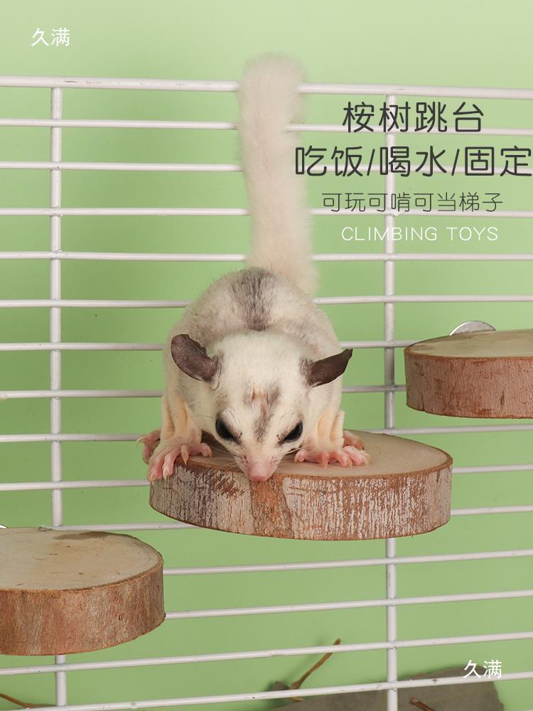 Eucalyptus Leaves, Sugar Gliders, Sugar Gliders, Teething Disinfection Pads, Eucalyptus Branches, Small Honey Cage Interior Decoration Toys