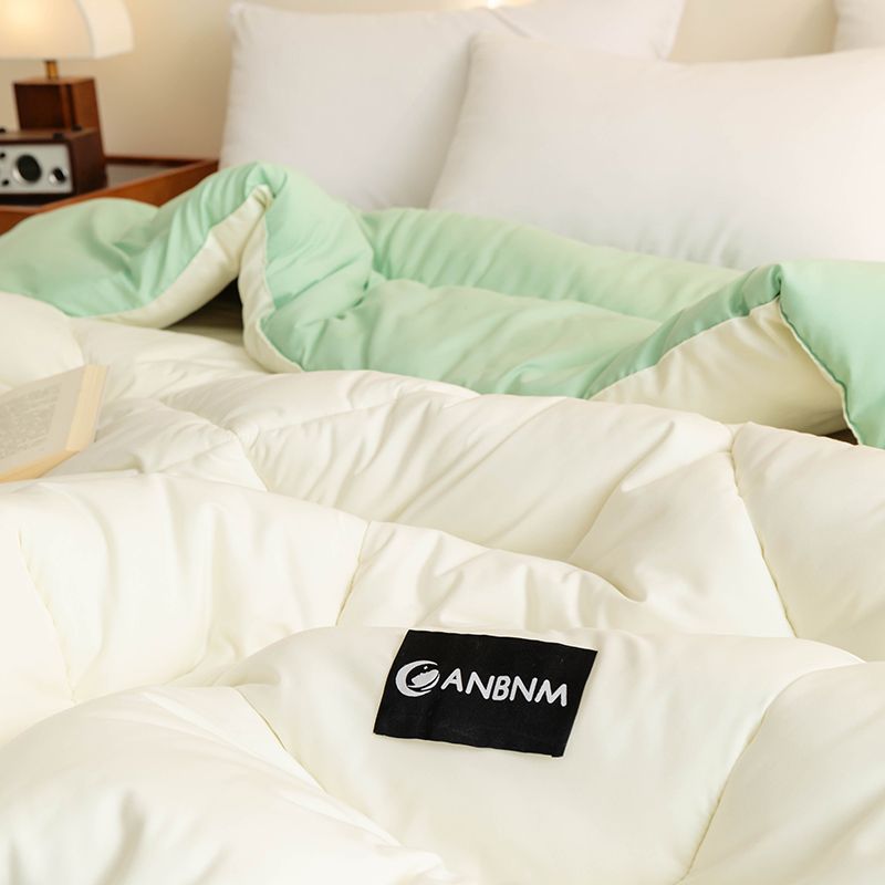 Soy Fiber Quilt Winter Quilt Quilt Core Thickeneded and Warm 2024 New Spring & Fall Quilt Single Air-Conditioned Quilt