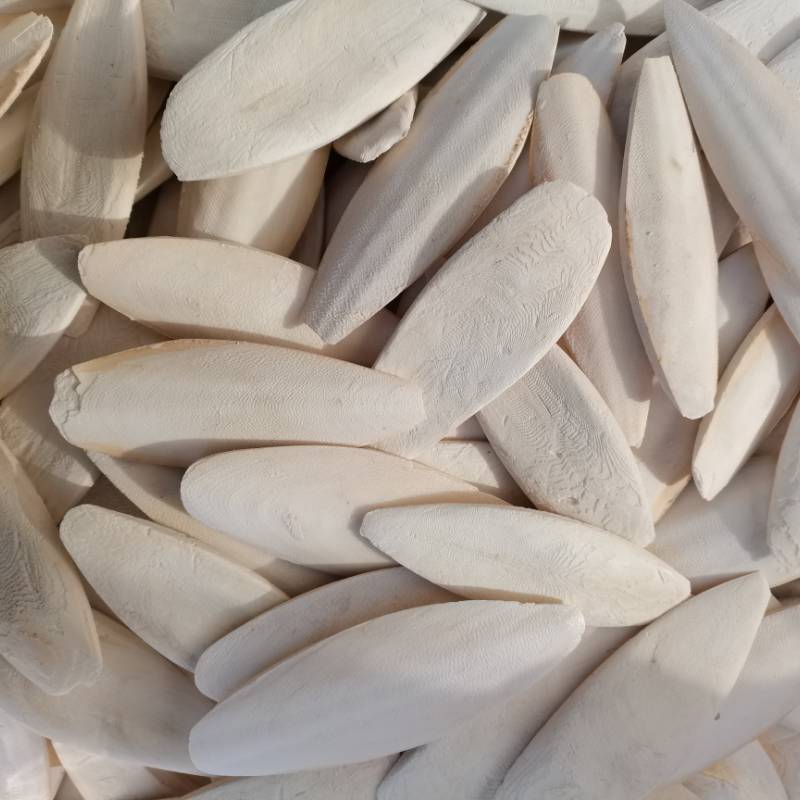 Cuttlefish Bone Wholesale Polished Cuttlefish Bone Pet Supplies Teething New Goods Bird Food Cuttlefish Bone Agricultural Products Sea Jellyfish