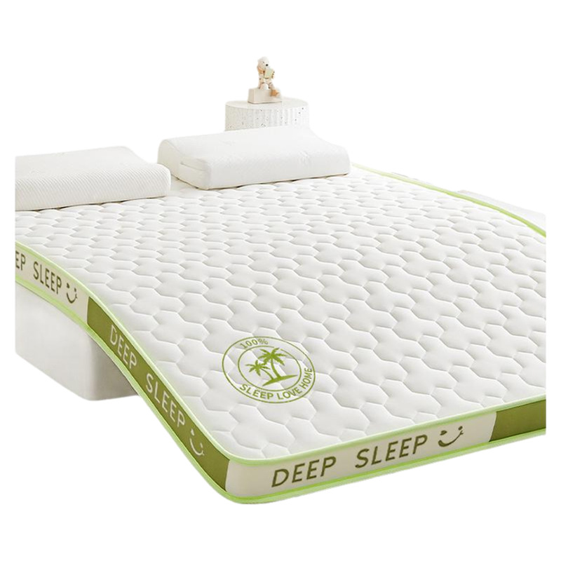 Latex Memory Foam Mattress Cover Home Cushion Bedroom Dormitory Student Single and Double Tatami Sponge Mat