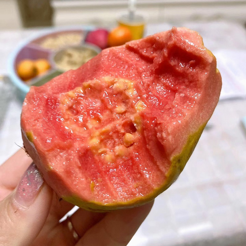 Fujian Red Heart Guava Fresh Fruit Seasonal Sweet and Soft Direct from the Place of Origin Wholesale Whole Box Large Fruit
