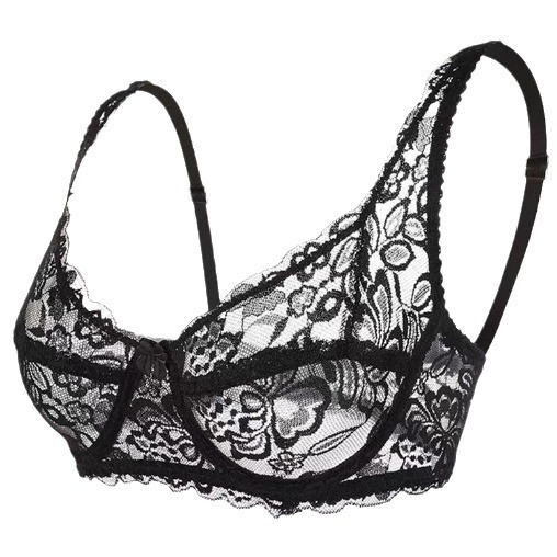 Summer thin European and American underwear spring and summer full lace full transparent sexy steel ring bra wholesale corset 309