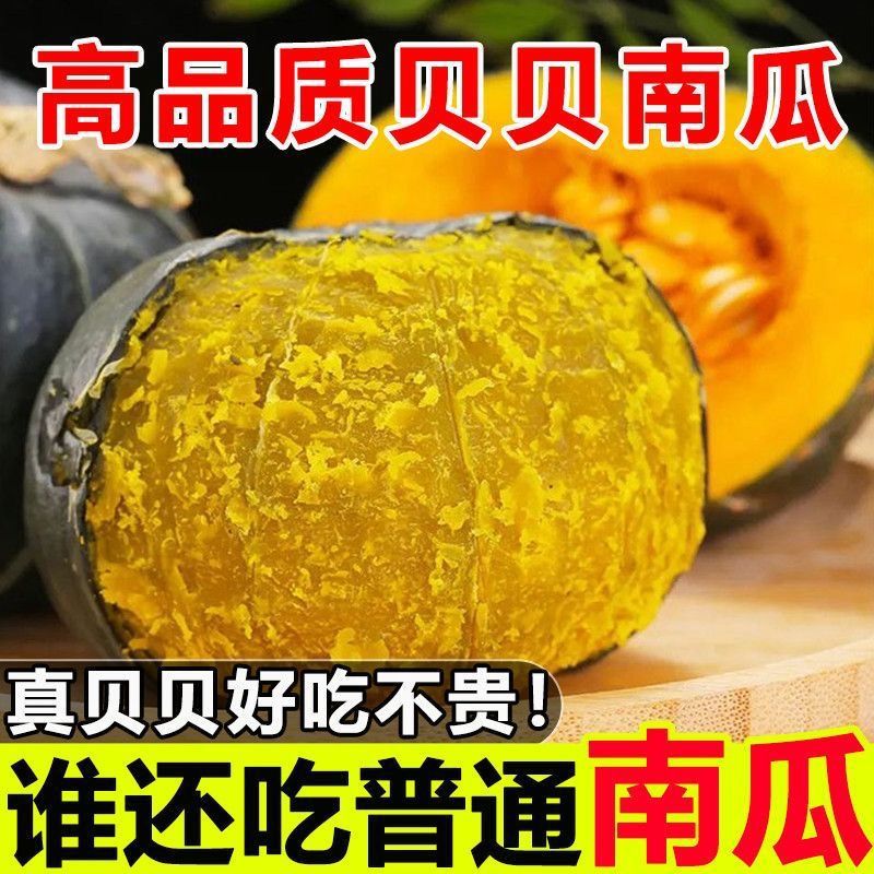 Authentic Beibei Pumpkin Chestnut Flavor Old Pumpkin Powder Glutinous Sweet Baby Food Supplement Wholesale for Pregnant Women