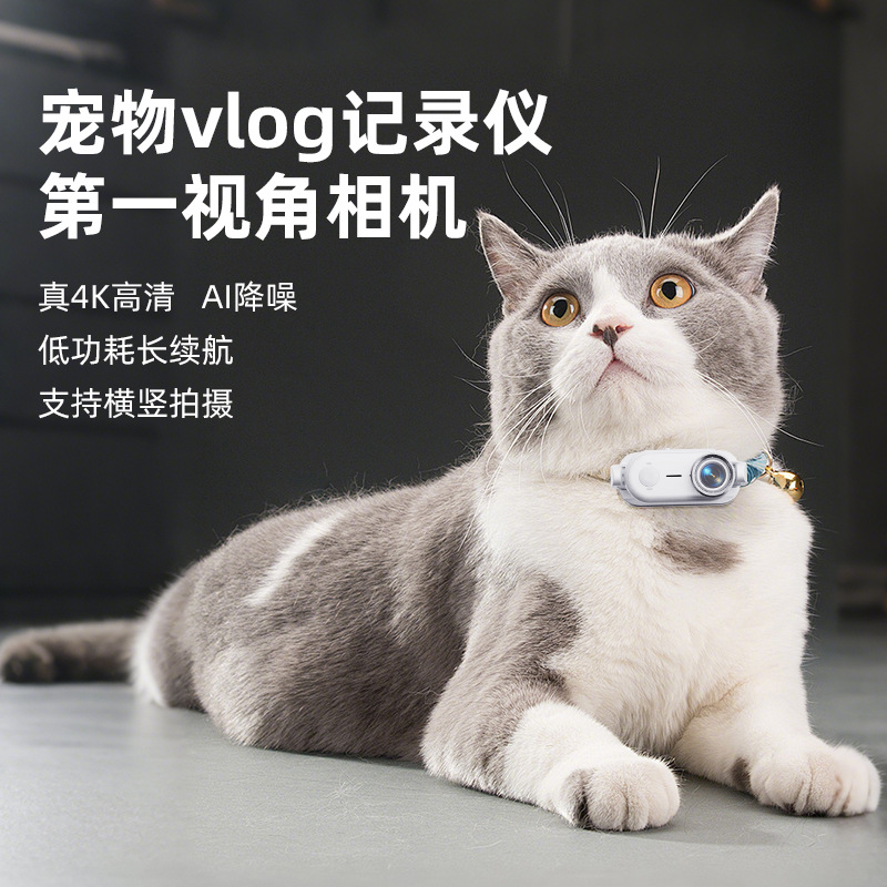 Новая настоящая 4K антишоковая камера для домашних животных, видеорегистратор для кошек и собак, крепление на шею, высокая четкость, перспектива от первого лица