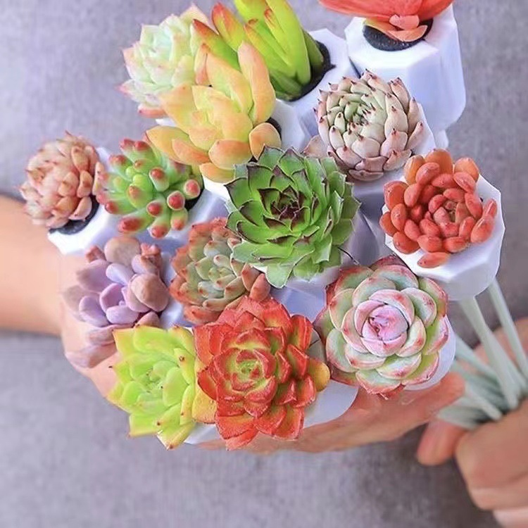 Fleshy bouquet box holding flower combination gift creative soilless self-absorbent lazy person indoor good meat container