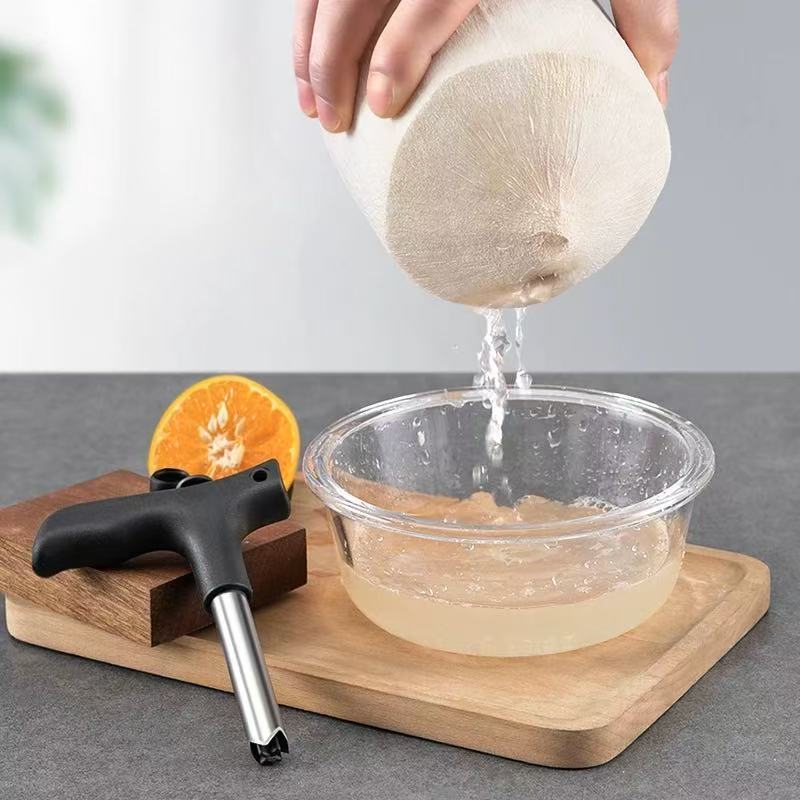 Household Fruit Hole Opener, Convenient Stainless Steel Coconut Hole Punch Tool, Opening Shell Coconut Tool, Coconut Opener