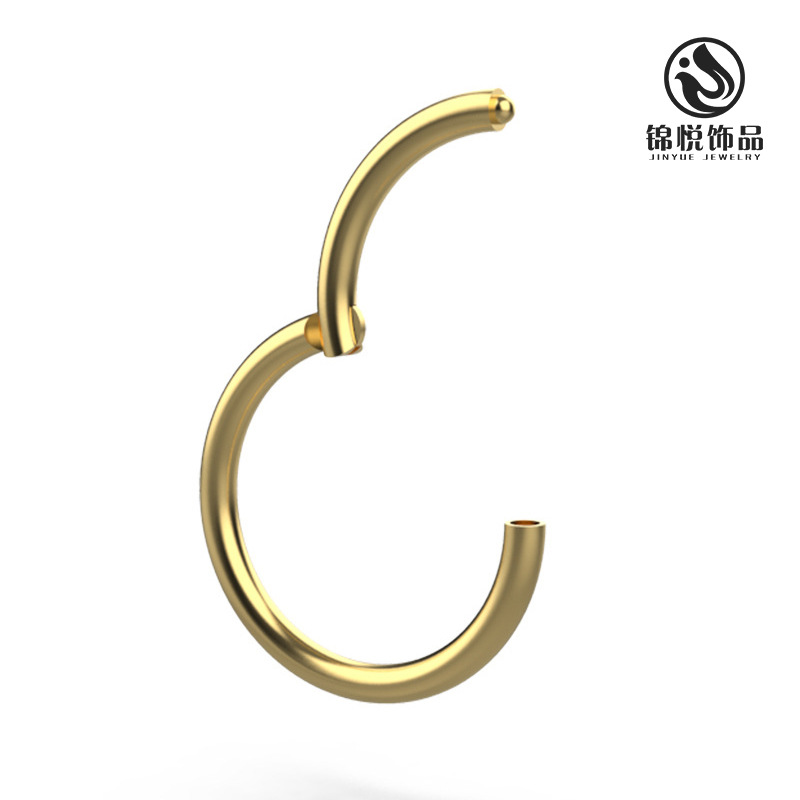 Amazon 316 Stainless Steel Basic Piercing Nose Ring Europe, America and Africa Seamless Closed Ring Body Piercing Jewelry