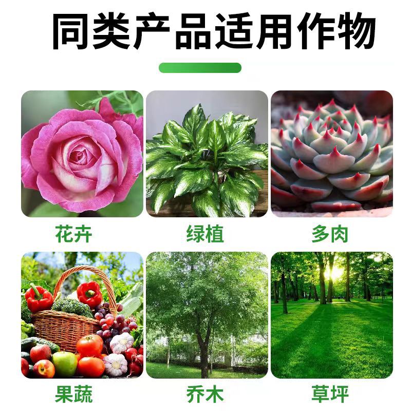 Guoguang Carbendazim General Fungicide for Flower Plants Rose Black Spot Disease Succulent Bituminous Black Rot Anthers