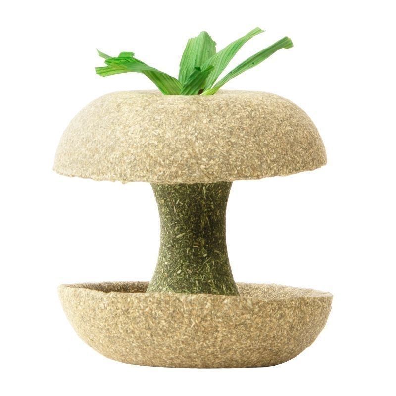 Hamster Apple Core Teething Stick Golden Bear Hamster Teething Food Snacks Wear-Resistant Hiding Landscaping Toys and Supplies