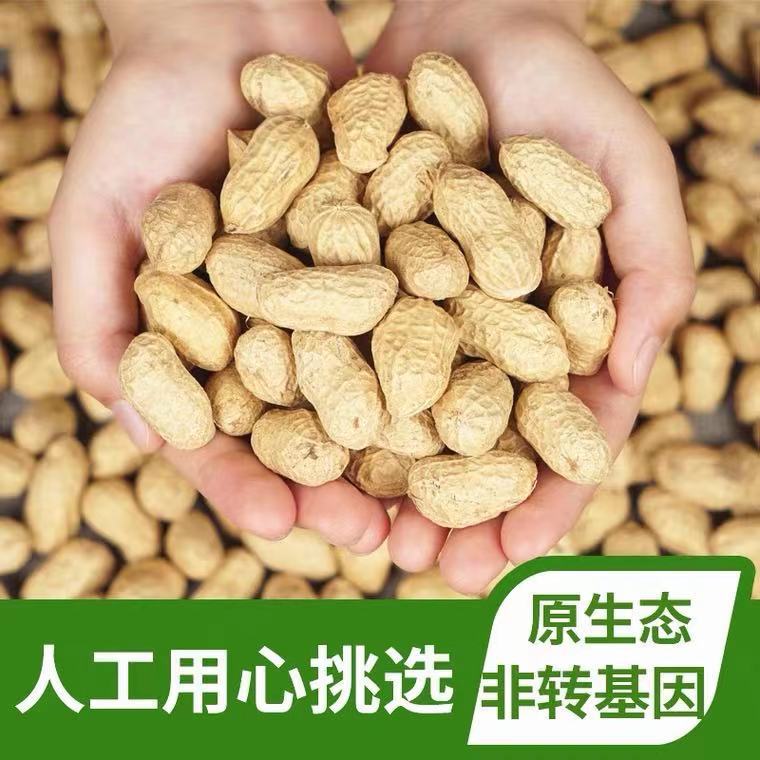 Shandong self-growing dry peanut shelled peanut new goods farm self-growing small white sand fruit oil pressing seeds