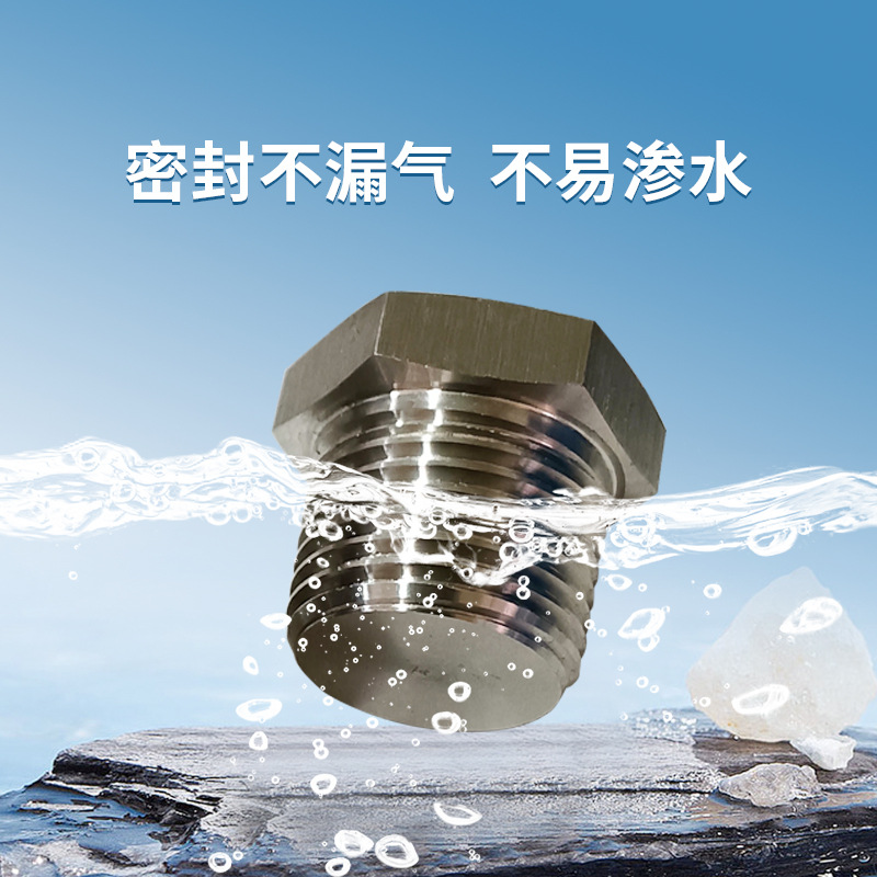 304 Stainless Steel Explosion-Proof Plug, External Hexagonal Explosion-Proof Box Sealing Plug, Solid External Wire Stuffy Cover, Threaded Plug Cap
