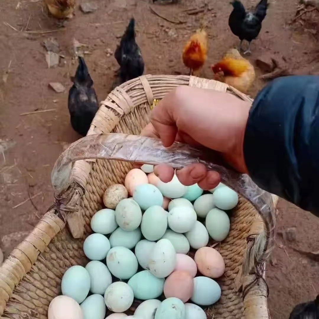 Farm Green-Shelled Eggs, Black Eggs, Baby Nutritional Eggs, Postpartum Eggs for Pregnant Women, Mountain Forest Original Ecological Free-Range Eggs