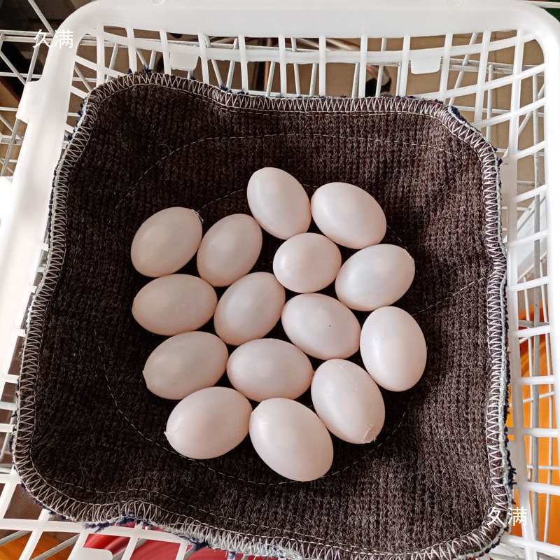 Water-Filled Fake Pigeon Eggs, Pigeon Decoy Eggs, Plastic Pigeon Decoy Eggs, Pigeon Farming Supplies, Meat Pigeons, Racing Pigeons