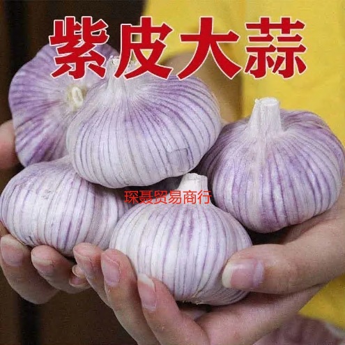 Чеснок с фиолетовой кожурой 2.5кг, сезон 2024, целая коробка свежих овощей, новый сушеный чеснок, оптовая продажа, чеснок с красной кожурой, фермерское производство