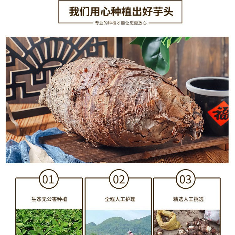 Authentic Guangxi Lipu Taro Extra Large Betel Nut Taro Fragrant Taro Taro Wholesale Planting Base Freshly Dug Straight Hair