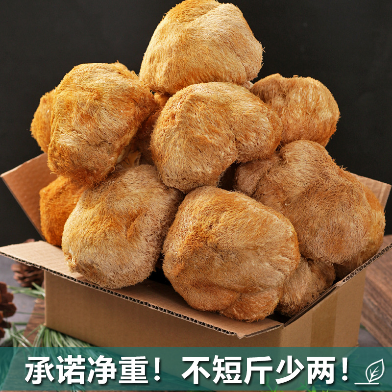 Longbai Mountain Hericium Dry Goods Wild 500g New Powder Northeast Mushroom Soup Ingredients Mushrooms