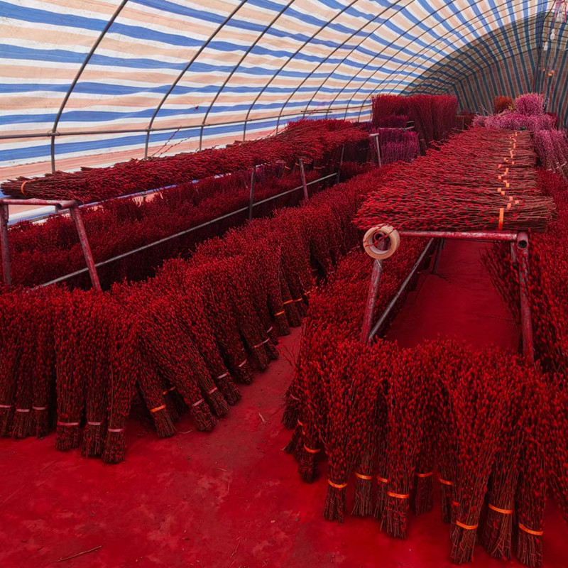 Silver Willow Real Flower Fresh Branch Dried Flower Ornament Indoor Hydroponic Green Plant New Year Red Fortune Bucket Fortune-Attracting New Year's Eve Flower Potted Plant