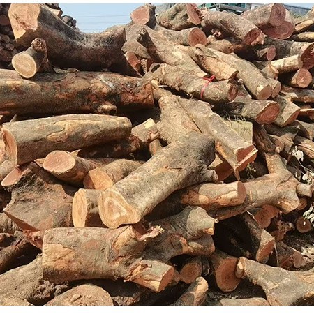 Manufacturer Supplies Lychee Wood, Wood for Outdoor Camping Barbecue, Firewood for Heating and Burning Hardwood
