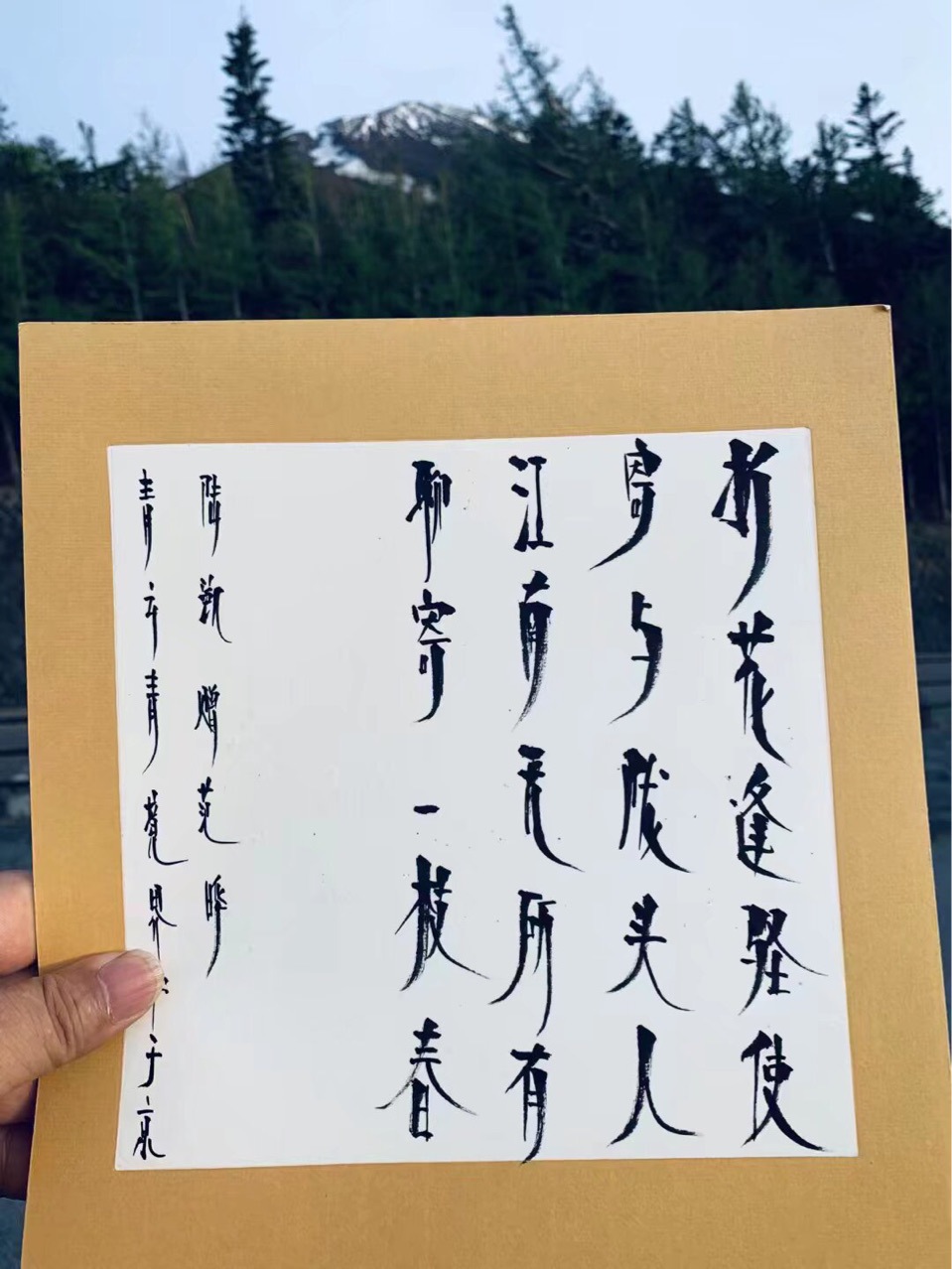 Writing Book Hair Design