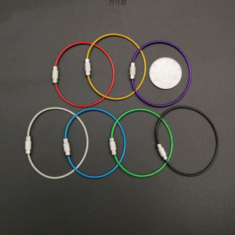 Factory Direct Sales Stainless Steel Wire Rope Lock Buckle Pvc Keychain Accessories Rainbow Color Key Ring Large Key Ring