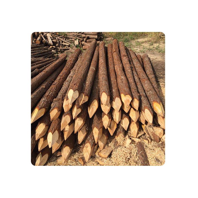 Wood piling woodworking ground River embankment fir pile slope protection renovation wood pile factory direct wholesale piling wood