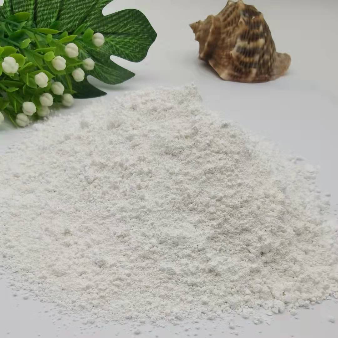 Diatomaceous Earth for Water Treatment and Filtration, Diatomaceous Earth Adsorption Coating, Filter Aid, Diatomaceous Earth Powder for Humidity Regulation and Improvement