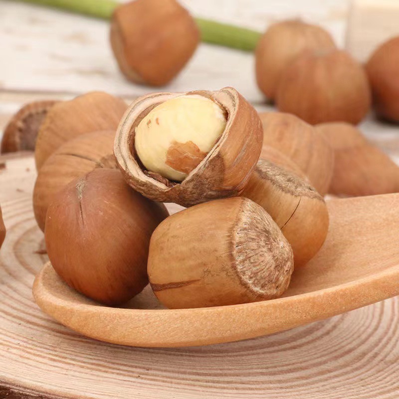 Bagged Northeast Specialty Open Hazelnuts Zhenxin Manor Tieling Kaiyuan Cooked Hazelnuts 500G/Bag (Medium Grain)