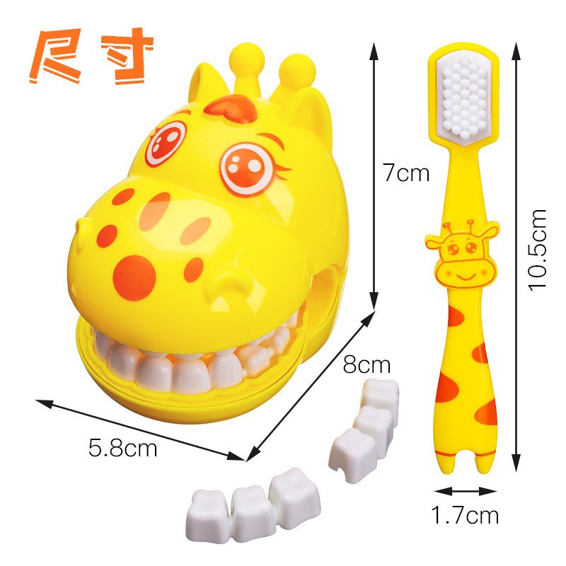 Children's Dental Mold Toys, Play House Doctor Role Interactive Accessories, Removable Enlightenment Brushing Teaching Dental Tools Wholesale