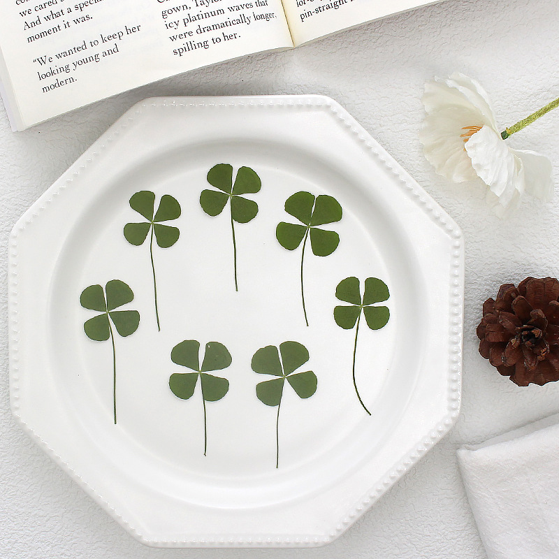 Основной цвет Четырехлистный клевер образец Счастливая трава Жевательные конфеты Сухие цветы DIY Ручной материал Натуральный настоящий цветок для тиснения