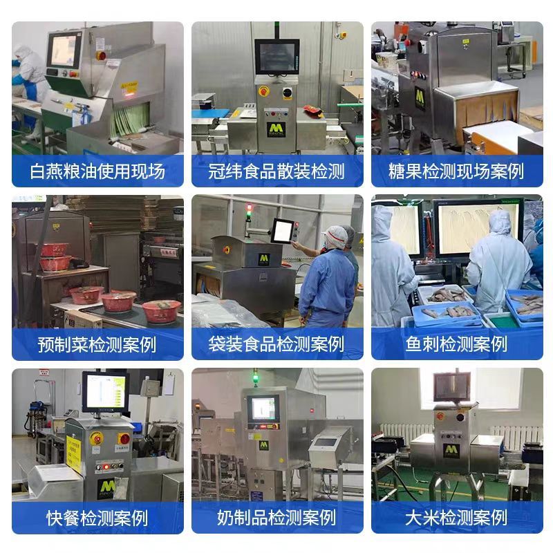 Food X-Ray Foreign Object Detector Metal Detector Gold Detector Glass Plastic X-Ray Foreign Object Metal Detector