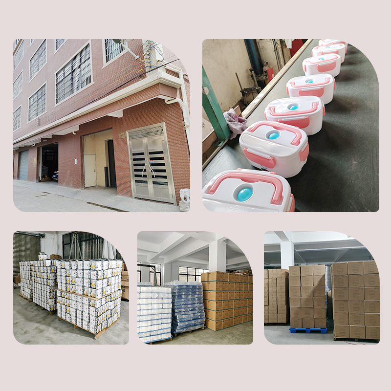 Household egg steamer mini multi-function egg boiling artifact dormitory Breakfast Machine small automatic power off