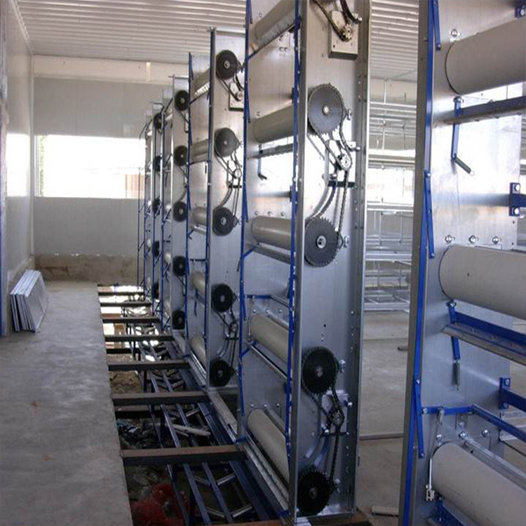 Steel Structure Warehouse, Fence, Farm, Poultry, Livestock, Egg Chicken, Simple Building Chicken House Export