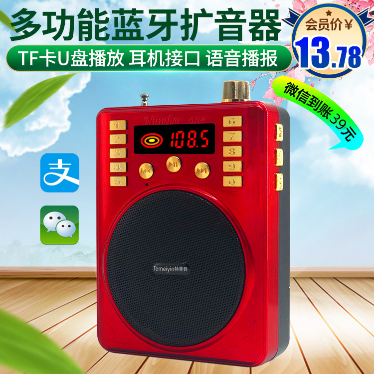 Temei Yin 305ABT Bee Loudspeaker Multifunctional Teacher Loudspeaker Shouting Tour Guide Card Singing
