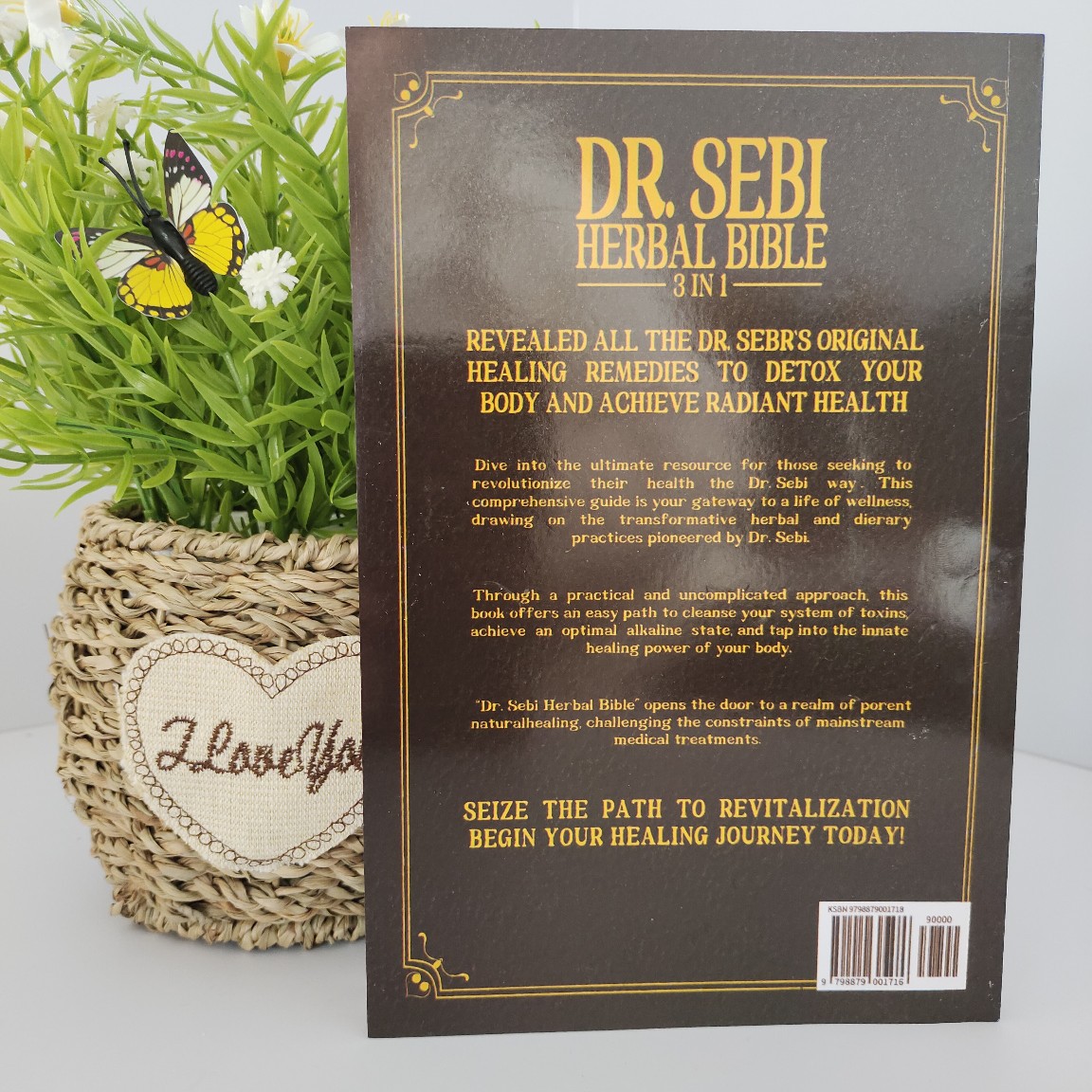 Cross-Border Popular Drsebimucuscleanse28Day Dr. Sebi Bible