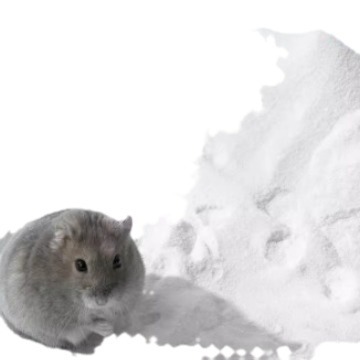 Hamster Bath Sand Supplies Collection Bathroom Urine Sand Two-In-One Golden Bear Toilet Urine Sand Bath Special Bath Salon Cat