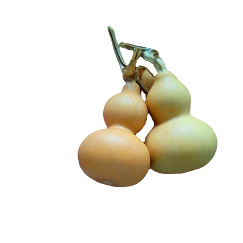 Factory direct natural hand-twisted gourd text play play boutique small gourd American gourd crafts wholesale