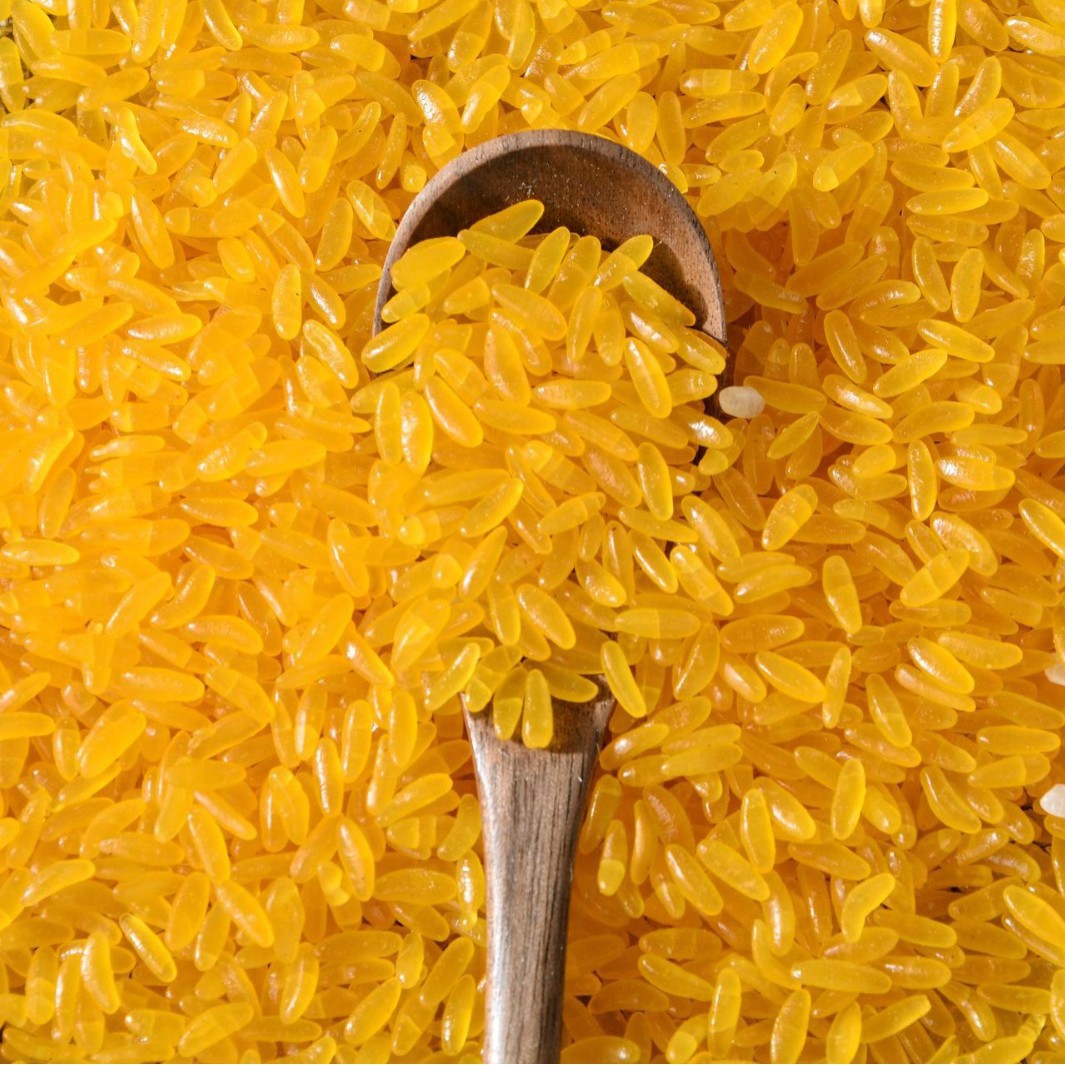 New Rice, Northeastern Golden Rice, Corn, Whole Grains, Sticky Golden Rice, Rice, Coarse Rice, Whole Grains, Golden Glutinous Corn Grits