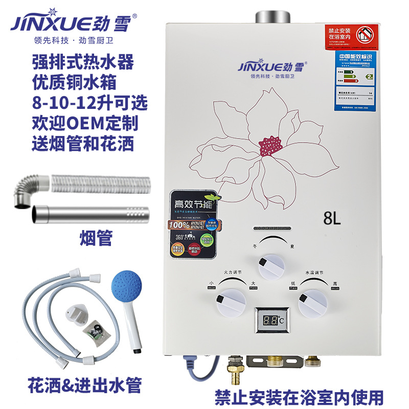 Производитель газовых водонагревателей Гуандун Принудительный выброс Водонагреватель Оптовая продажа Сжиженный газ Природный газ для домашнего использования