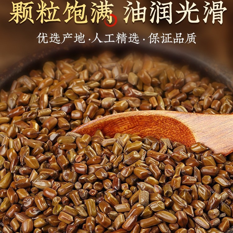 Beijing Tongrentang Cassia Seed 250g Can Be Used with Chrysanthemum Sulfur-Free Selected Canned Wholesale Heat-Clearing