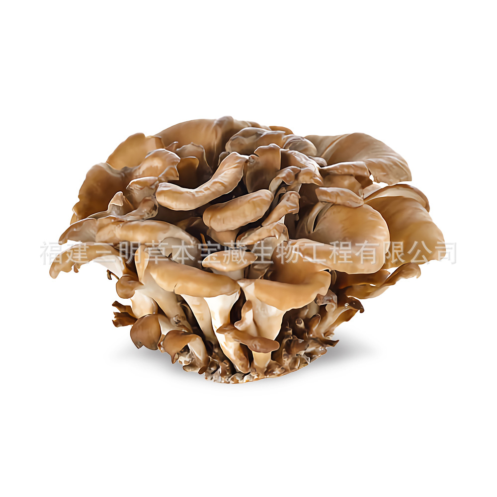 Fujian origin Grifola flower dried goods wholesale Grifola flower small flower soup edible mushroom in stock bags can be processed on behalf