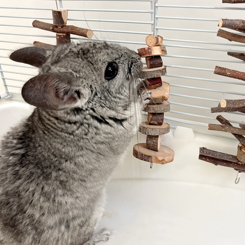 Hamster Rabbit Chew Wooden Teething Stick Apple Branch Chew Skewer Chinchilla Guinea Pig Teething Skewer Grass Ball Grass Cake Toy