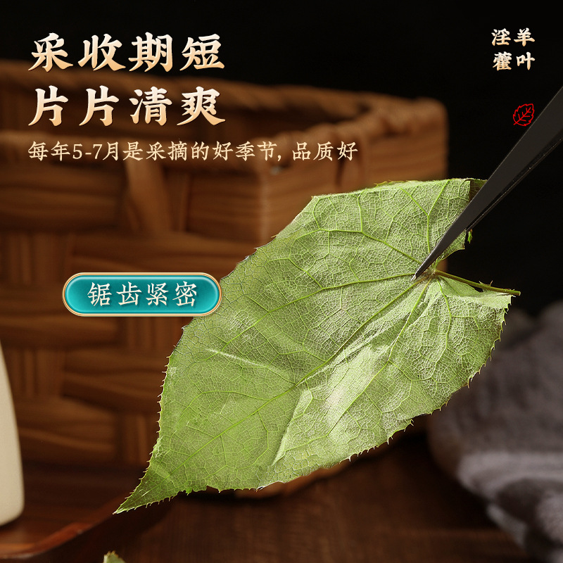 Epimedium Leaves Canned Wholesale Nanjing Tongrentang Male Tea Nourishing Health Tea a Generation of Fat
