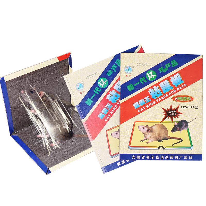Chunhe Sticky Mouse Board, Hard Board, Strong Adhesive Mouse Board with Attractant, Mouse Trap, Available at Dollar Stores and Department Stores