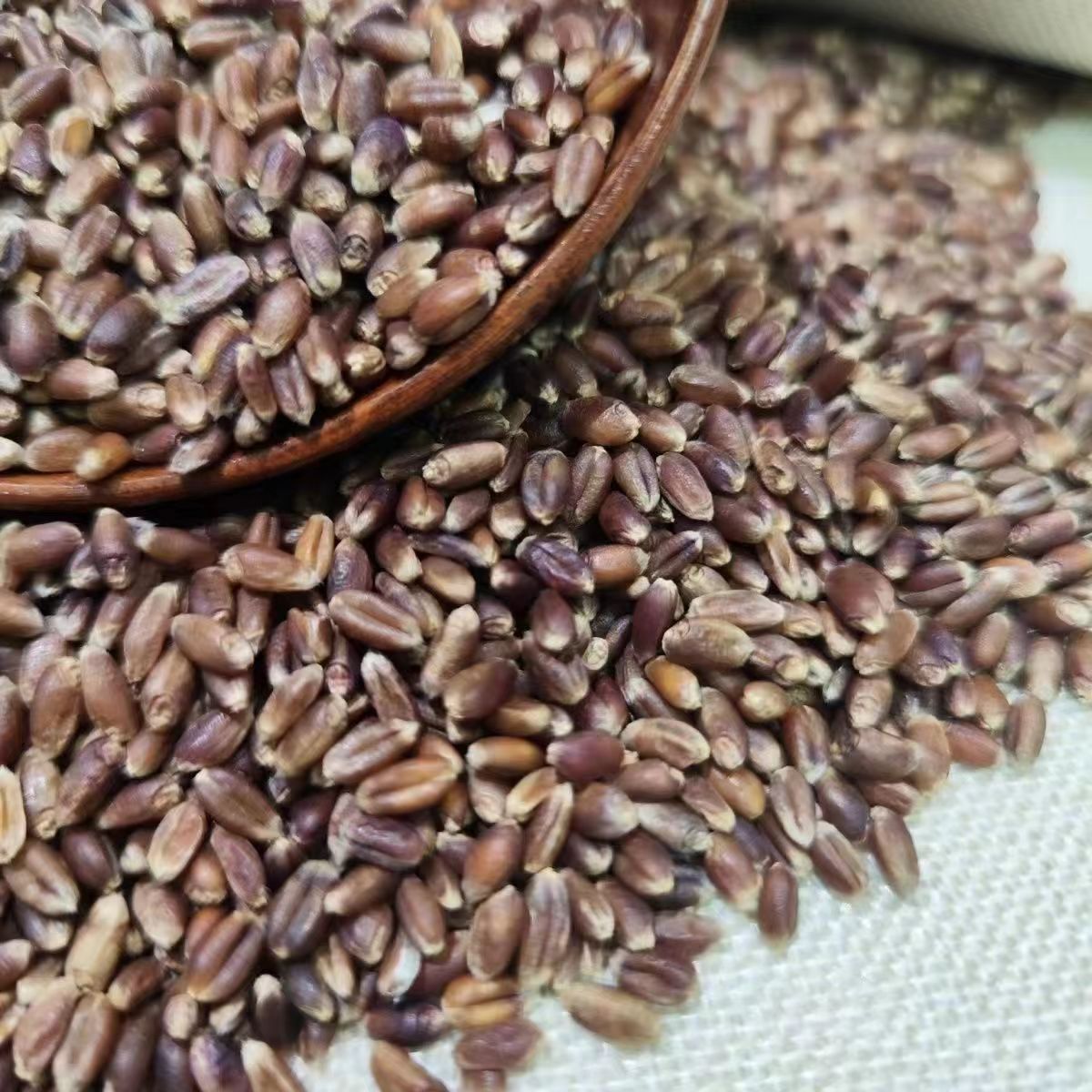 In the season, new farm rye and rye, rye and rye, household grinding, porridge, sprouting, whole grain and coarse grain in stock are distributed on behalf of each other.