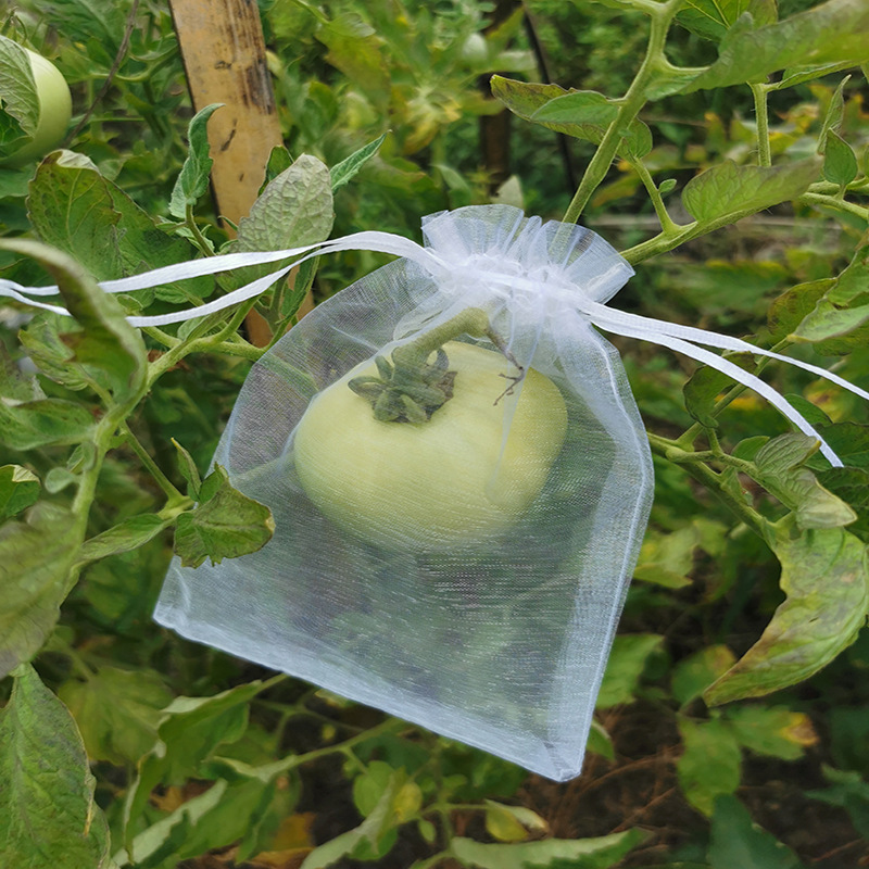 Fruit Bagging, Anti-Bird, Insect-Proof, Breathable Special Mesh Bag, Grape, Fig, Loquat, Strawberry, Carambola Protection Bag