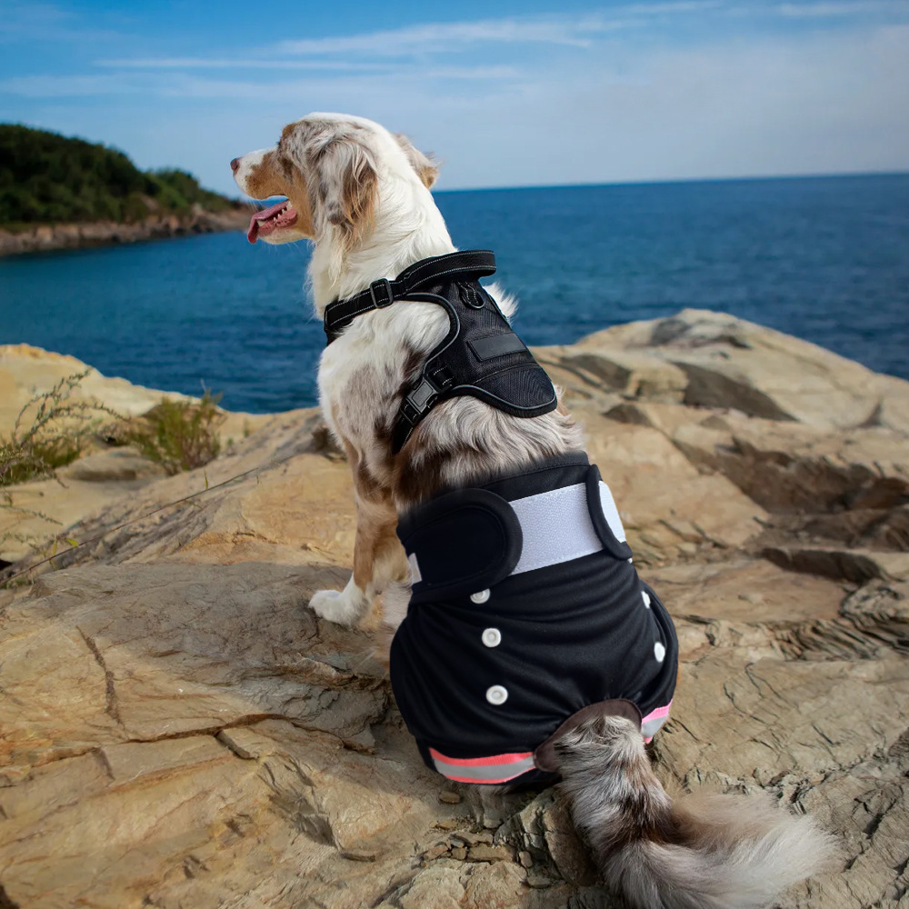 Pet Physiological Pants Cloth Diapers Amazon New Hot-Selling Female Dog Anti-Harassment Menstrual Pants Waterproof Washable Diapers