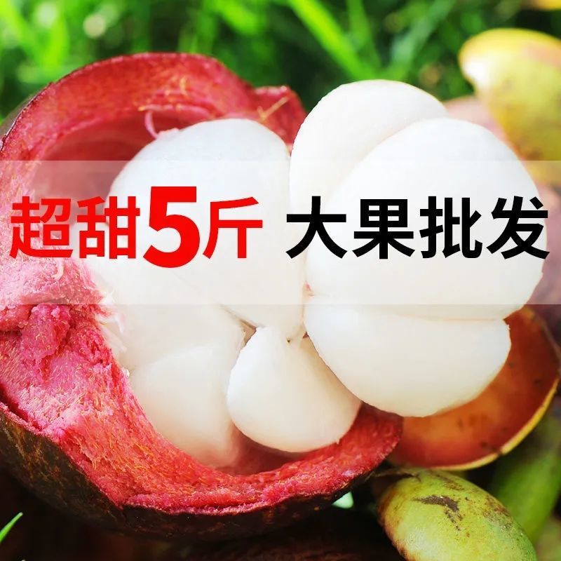 Thailand Imported Mangosteen Large Fruit 2/5/ 5kg Fresh Seasonal Fruit Wholesale Price 5A6A