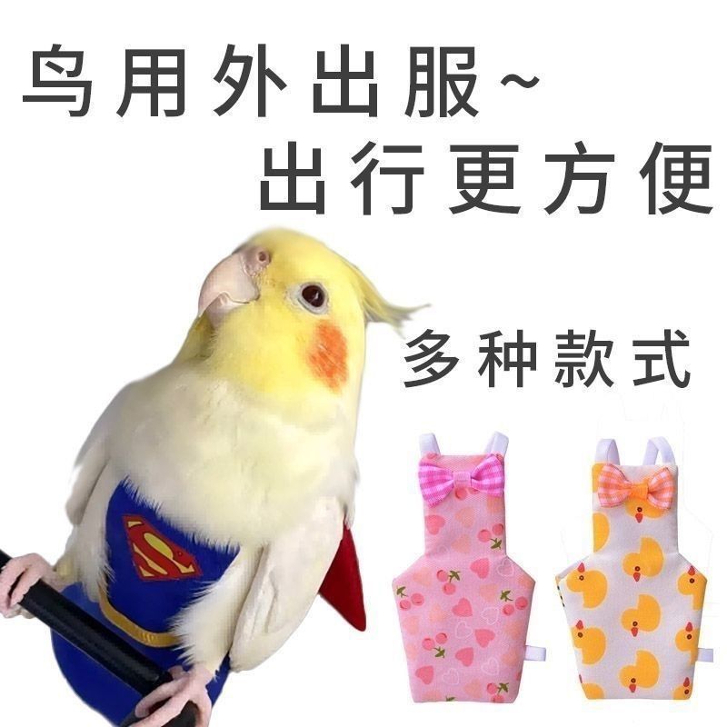 Pet Parrot Diaper Flight Suit Tiger Skin Black Phoenix Monk Cute Cartoon Out Bird Poop Diaper Clothes